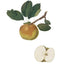 Pomme